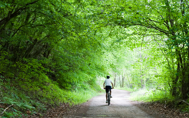  Cycling & Mountain Biking