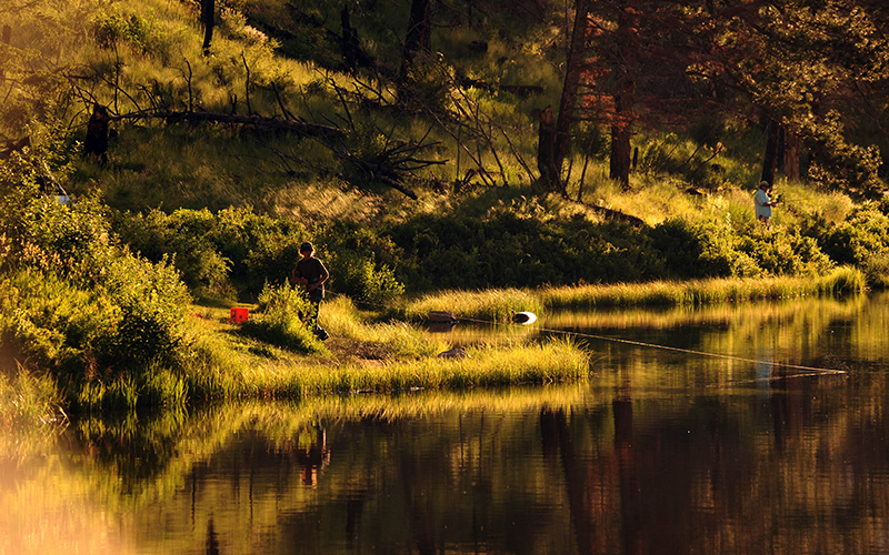 Fishing